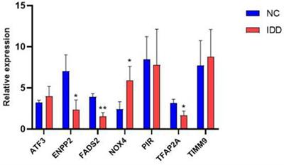 Identifification and validation of ferroptosis signatures and immune infifiltration characteristics associated with intervertebral disc degeneration